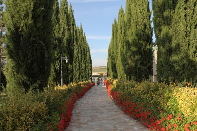 Hotel Fattoria Belvedere Guardistallo Esterno foto